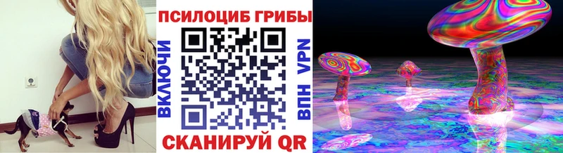 что такое   Тотьма  Псилоцибиновые грибы Magic Shrooms 
